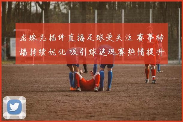 龙珠无插件直播足球受关注 赛事转播持续优化 吸引球迷观赛热情提升