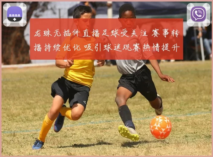 龙珠无插件直播足球受关注 赛事转播持续优化 吸引球迷观赛热情提升
