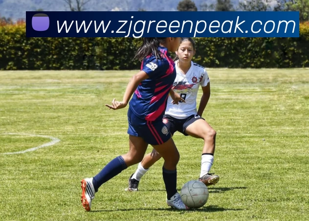 开云网页版·官方版在线登入 - 开云(中国)平台生态图