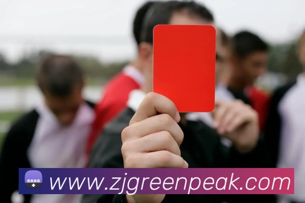 开云网页版·官方版在线登入 - 开云(中国)APP 封面图